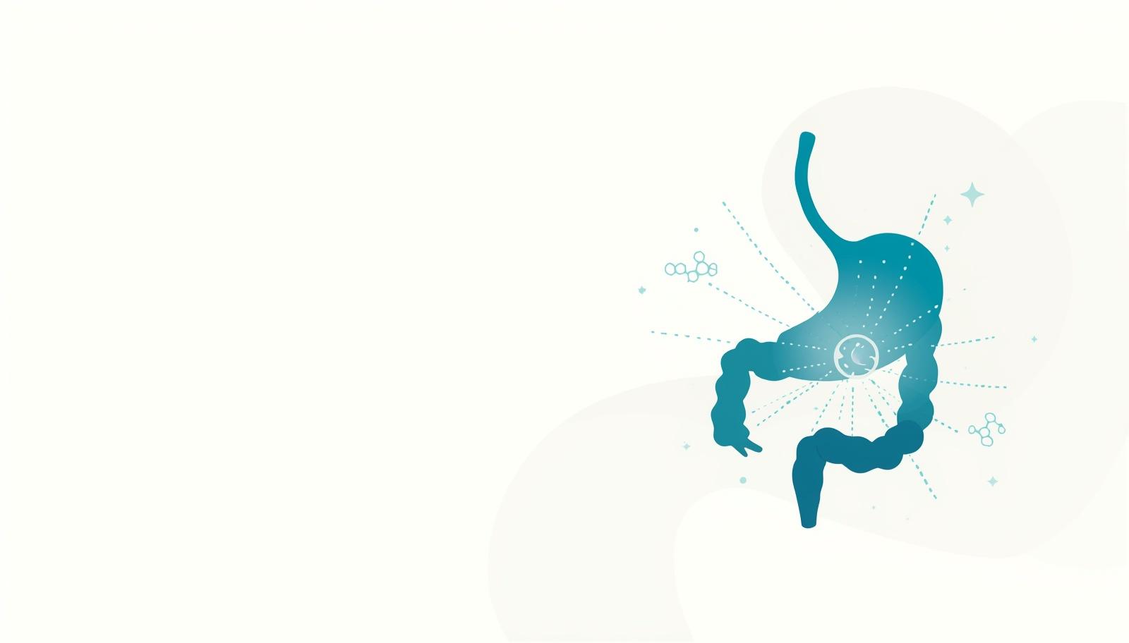 Irritable Bowel Syndrome (IBS)